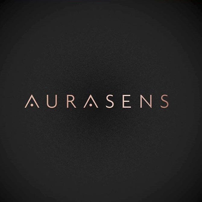 Diapo 5 : Logo de l'entreprise Aurasens.