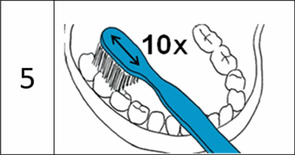 Diapo 4 : Image de l'application çadet qui représente la manière dont il faut se brosser les dents