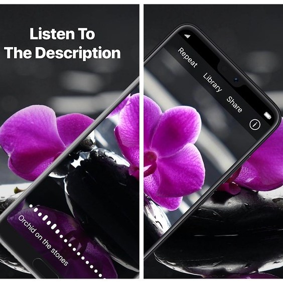 Diapo 5 : Image d'un téléphone prenant en photo une orchidée violette par le biais de l'application TapTapSee