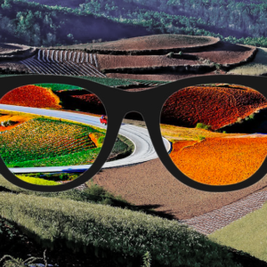 Lunettes enchroma et les changements de vision de couleurs avec un paysage en fond