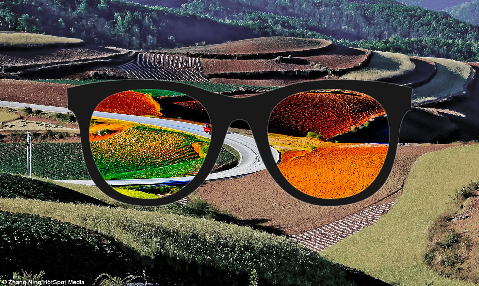 Diapo 2 : Lunettes enchroma et les changements de vision de couleurs avec un paysage en fond