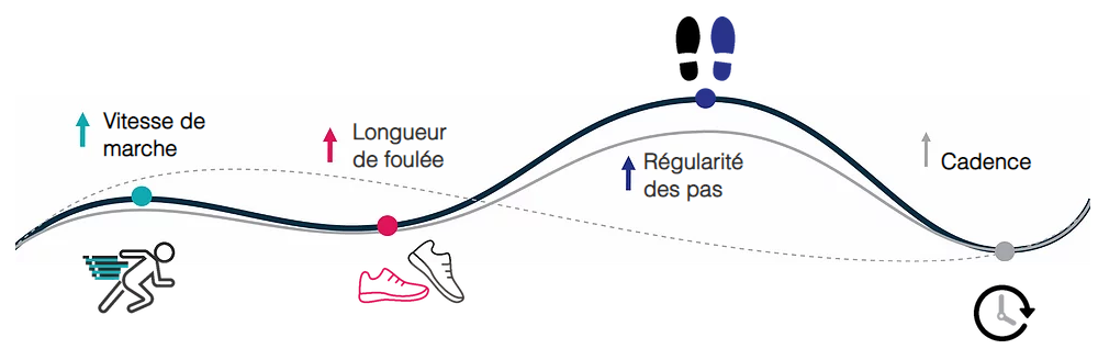 Diapo 3 : Les différentes étapes aidés par Walk, cadence, rythme de marche, foulée, longueur des pas